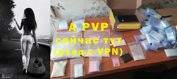 дживик Аркадак