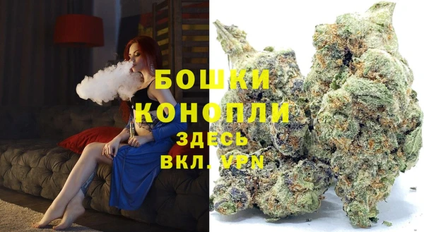 шишки Арсеньев