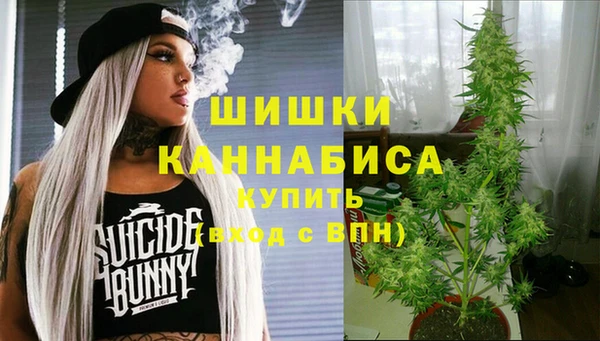 шишки Арсеньев