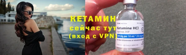 шишки Арсеньев