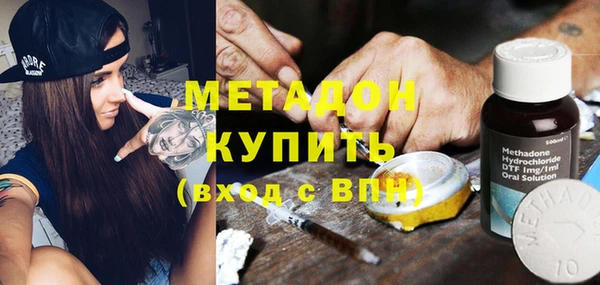 шишки Арсеньев