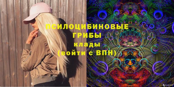 дживик Аркадак