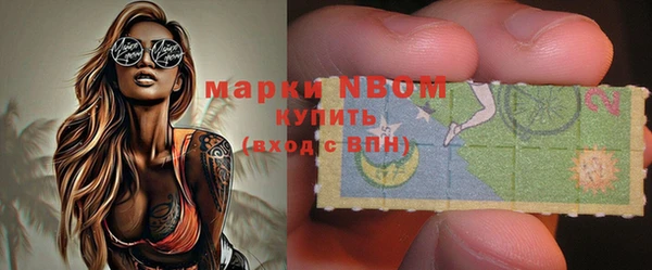 шишки Арсеньев